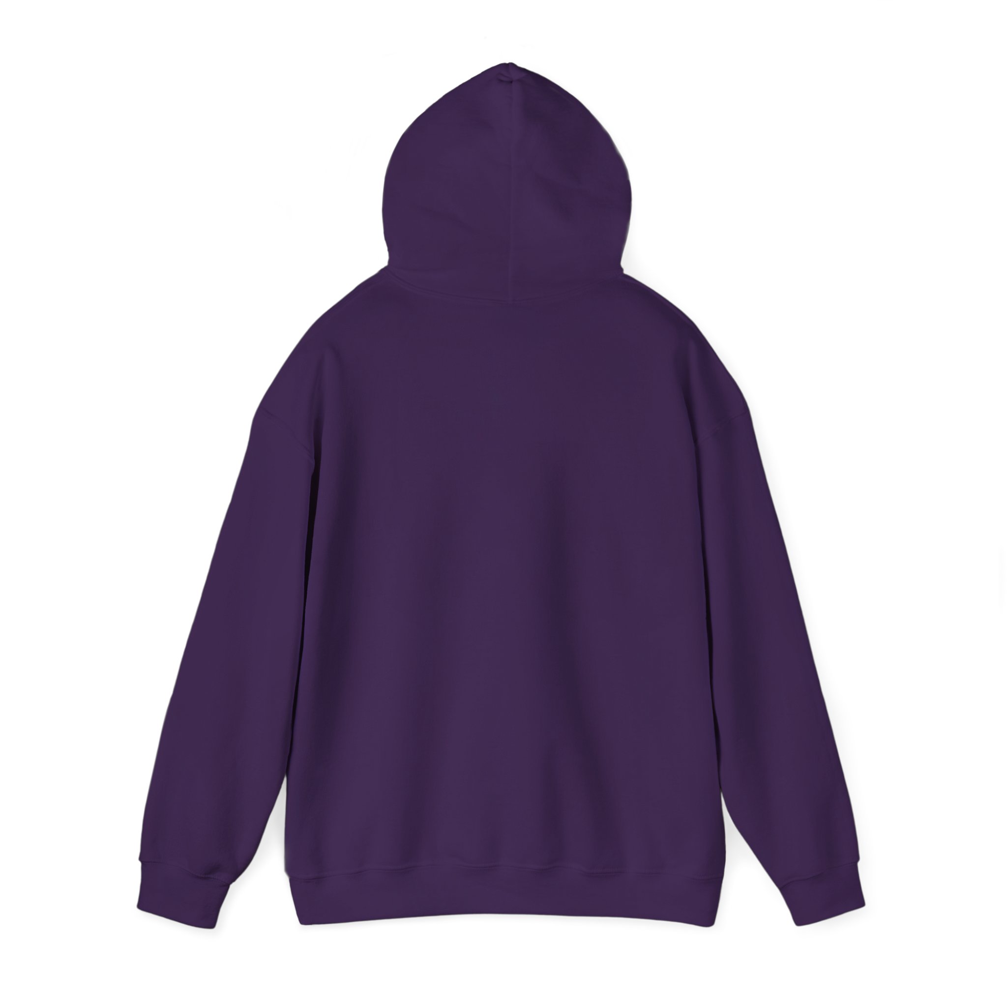 Naztronomy - Unisex Heavy Blend™ Hooded Sweatshirt - Image 20